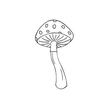 Hand-drawn Fly agaric or amanita mushroom. Non-edible poisonous forest mush.. Stock Illustration