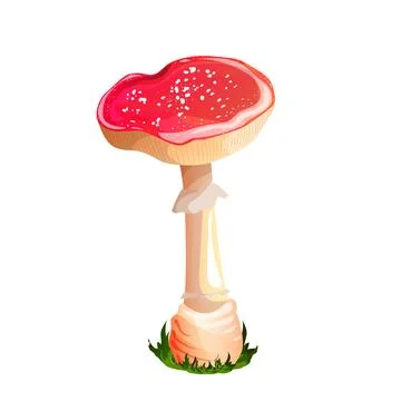 Hand drawn fly agaric. Vector colored flat illustration of milk mushroom. Bright Stock Illustration