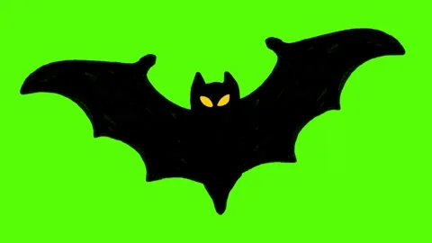 Hand-Drawn Flying Bat Silhouette Animation on Green Screen Stock Footage 318410162