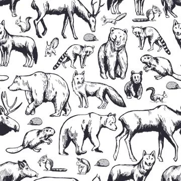 Hand drawn forest animals. Vector seamless pattern. Stock Illustration