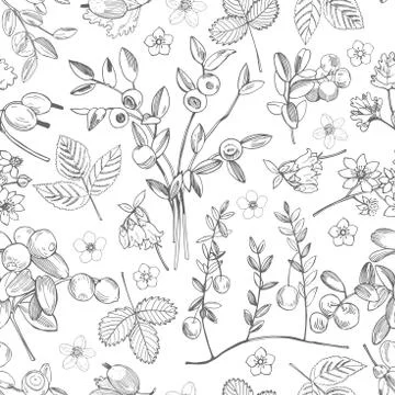 Hand drawn forest berry. Vector seamless pattern . Stock Illustration