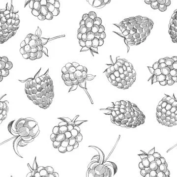 Hand drawn forest berry. Vector seamless pattern . Illustrazione stock
