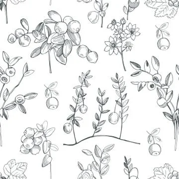 Hand drawn forest berry. Vector seamless pattern . Illustrazione stock