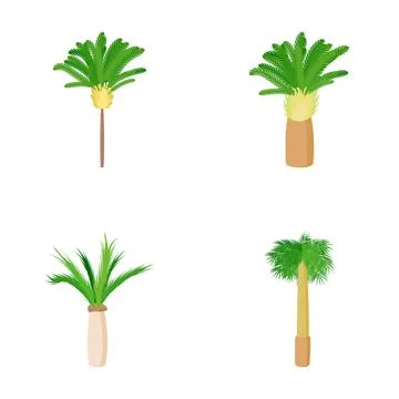 Hand drawn four isolated palm tree illustrations Stock Illustration