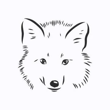 Hand drawn fox, vector illustration. See also other sets of animals. wild Fox イラスト素材