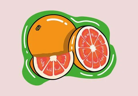 Hand drawn fresh grapefruit and slices isolated background. 스톡 일러스트