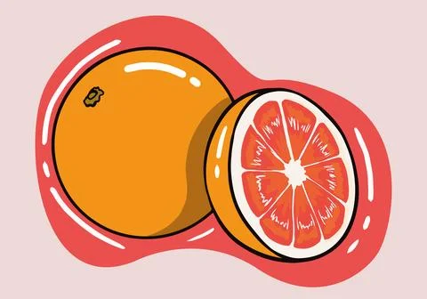 Hand drawn fresh grapefruit and slices isolated background. 스톡 일러스트