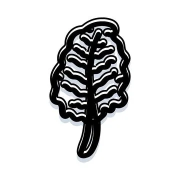 Hand drawn fresh green leaf organic plant illustration Illustrazione stock