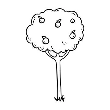 Hand drawn fruit tree. Doodle Stock Illustration