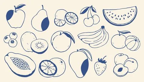 Hand drawn fruit vector illustration set with apples, bananas, citrus, berries Ilustração Stock