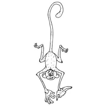 Hand drawn funny cat. Stock Illustration