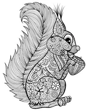 Hand drawn funny squirrel with nut  for adult anti stress Colori Illustration
