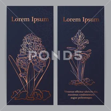 Hand drawn Garden hyacinth Stock Illustration