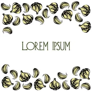 Hand drawn garlic Stock Illustration