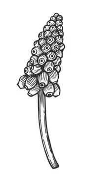 Hand drawn Geocynthesis Stock Illustration