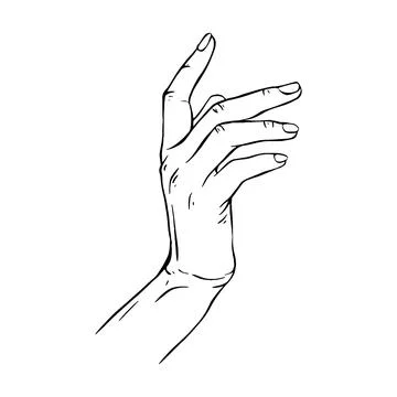 Hand drawn gesture sketch vector illustration line art Stock Illustration