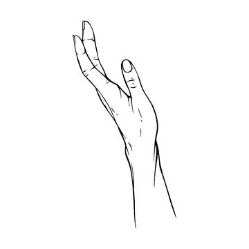 Hand drawn gesture sketch vector illustration line art Stock Illustration