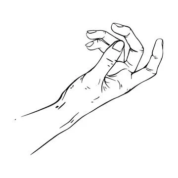 Hand drawn gesture sketch vector illustration line art Stock Illustration