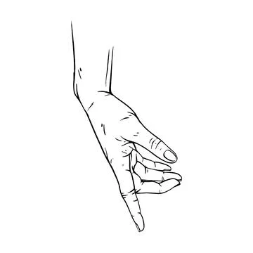Hand drawn gesture sketch vector illustration line art Stock Illustration