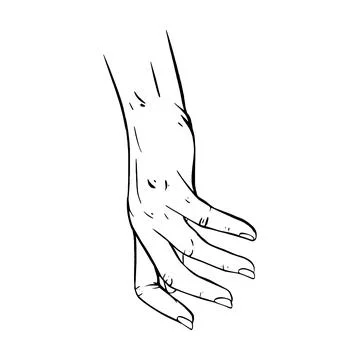 Hand drawn gesture sketch vector illustration line art Stock Illustration