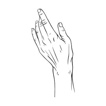 Hand drawn gesture sketch vector illustration line art Stock Illustration