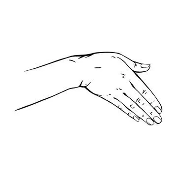 Hand drawn gesture sketch vector illustration line art Stock Illustration