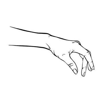 Hand drawn gesture sketch vector illustration line art Stock Illustration