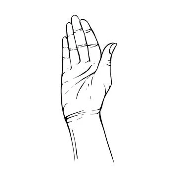 Hand drawn gesture sketch vector illustration line art Stock Illustration
