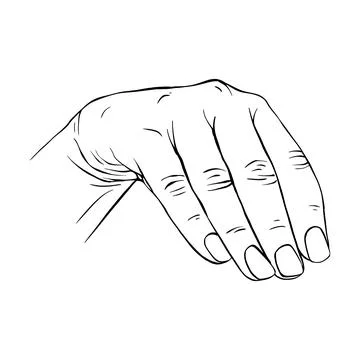 Hand drawn gesture sketch vector illustration line art Stock Illustration