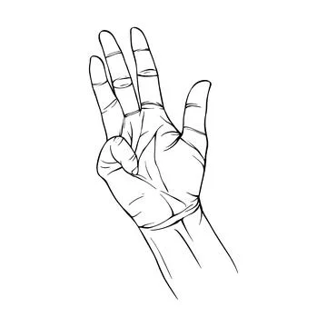Hand drawn gesture sketch vector illustration line art Stock Illustration