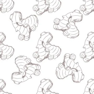 Hand drawn ginger root seamless pattern. Engraving style. Stock Illustration