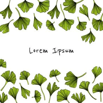 Hand drawn ginkgo Stock Illustration