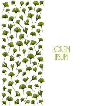 Hand drawn ginkgo Stock Illustration