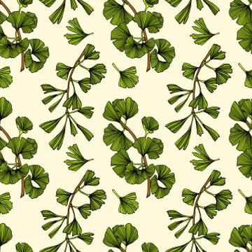 Hand drawn ginkgo pattern Stock Illustration