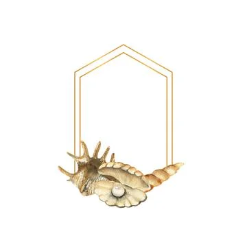 Hand-drawn Gold frame with shells, beach illustration. Watercolor seashells on a Stock Illustration