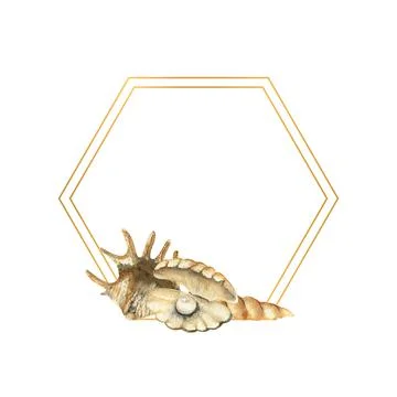 Hand-drawn Gold frame with shells, beach illustration. Watercolor seashells on a Stock Illustration