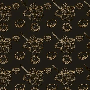 Hand drawn Golden seamless pattern of Macadamia nut Stock Illustration