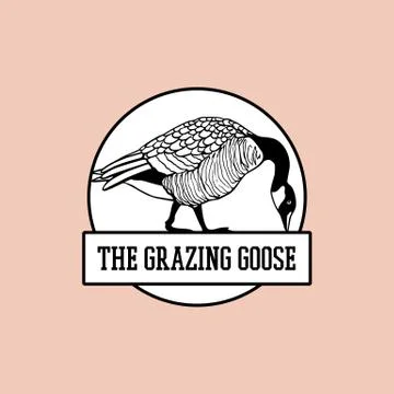 Hand drawn goose emblem Stock Illustration