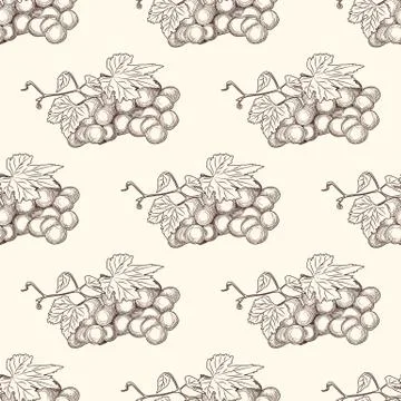 Hand drawn grape bunches and leaves seamless pattern. Illustrazione stock