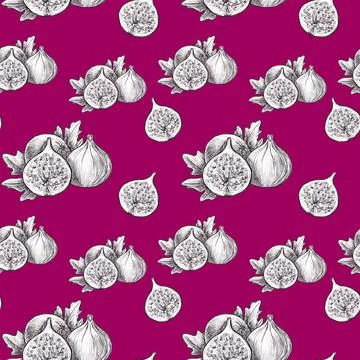 Hand drawn graphic pattern with Food sketch, Fruit - Figs Stock Illustration