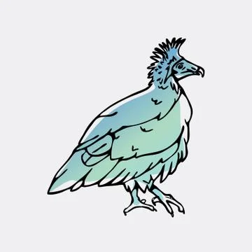 Hand-drawn graphics, bird predator, bird of prey Stock Illustration
