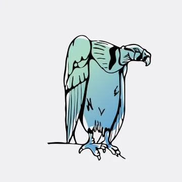 Hand-drawn graphics, bird predator, bird of prey Stock Illustration