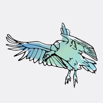 Hand-drawn graphics, bird predator, bird of prey Stock Illustration
