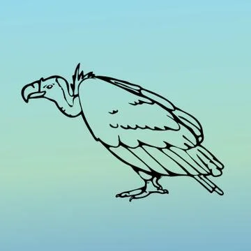 Hand-drawn graphics, bird predator, bird of prey Stock Illustration