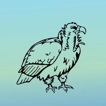 Hand-drawn graphics, bird predator, bird of prey Stock Illustration