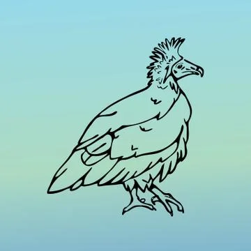 Hand-drawn graphics, bird predator, bird of prey Illustrazione stock