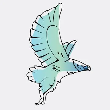 Hand-drawn graphics, bird predator, bird of prey Stock Illustration
