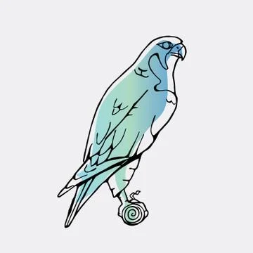 Hand-drawn graphics, bird predator, bird of prey Stock Illustration