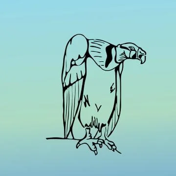 Hand-drawn graphics, bird predator, bird of prey Stock Illustration