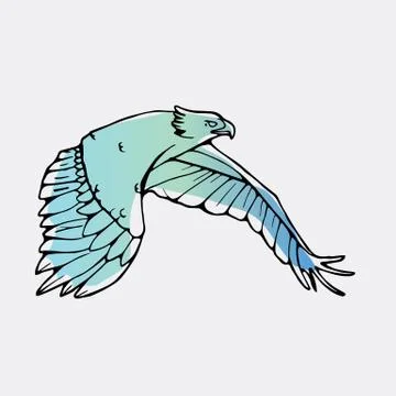 Hand-drawn graphics, bird predator, bird of prey Stock Illustration